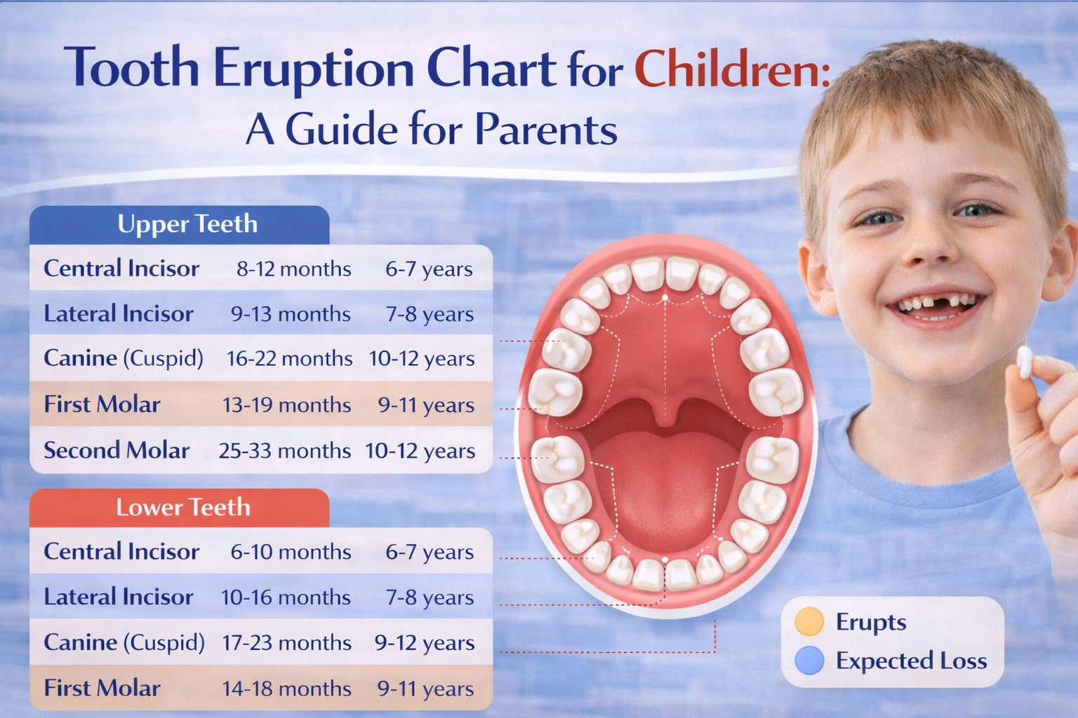 baby teeth chart